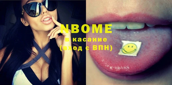 шишки Арсеньев