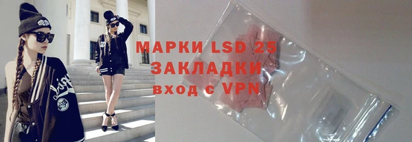 шишки Арсеньев