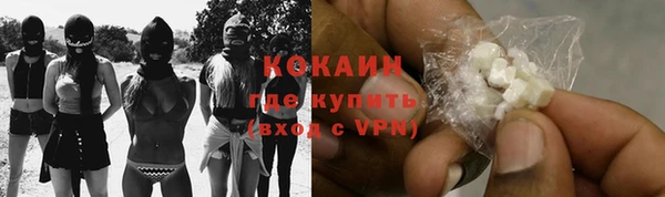 шишки Арсеньев