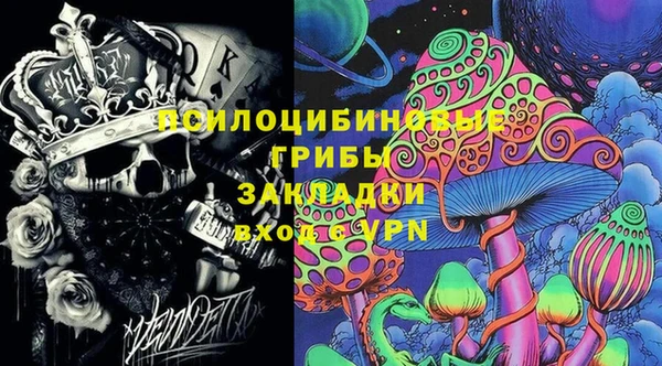 шишки Арсеньев