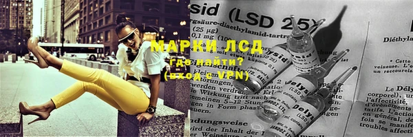 шишки Арсеньев