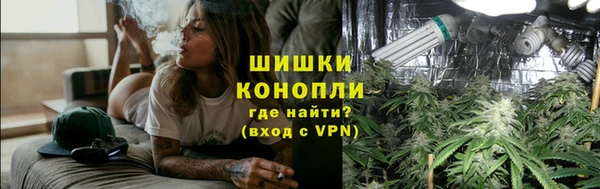 шишки Арсеньев