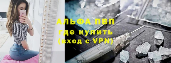 шишки Арсеньев