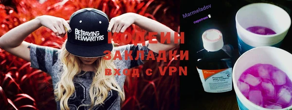 шишки Арсеньев