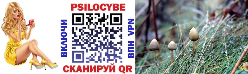 kraken вход  Гороховец  Псилоцибиновые грибы MAGIC MUSHROOMS 